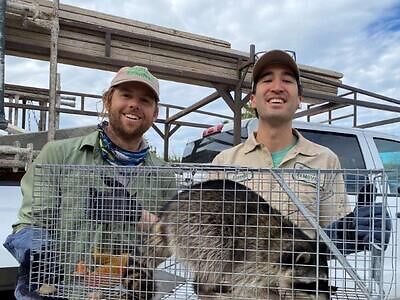 Des Moines pest control